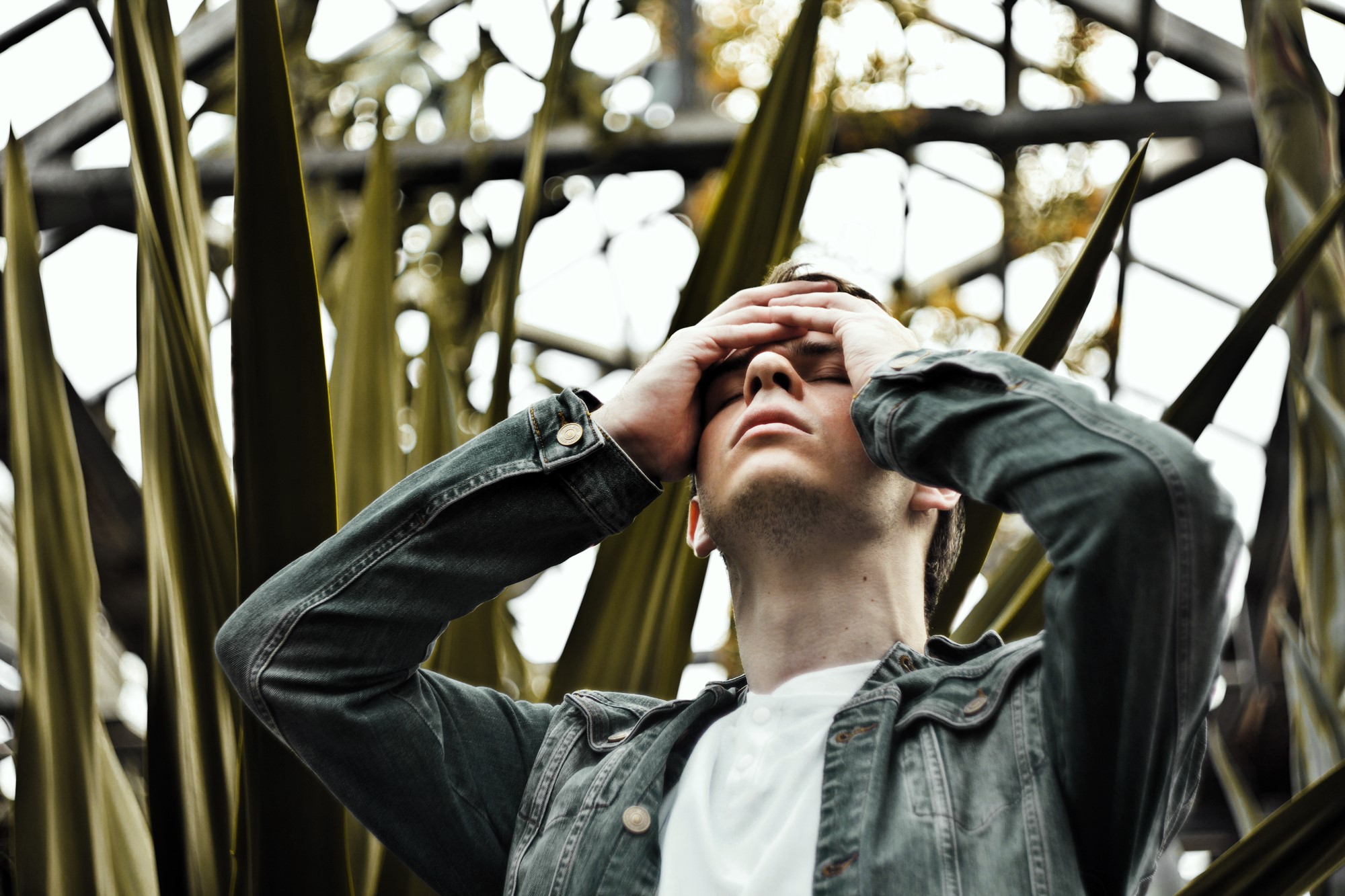 A person stands outside, tilting their head back with hands covering their eyes. They wear a green jacket over a white shirt. Spiky leaves and a geometric metal structure form the background.