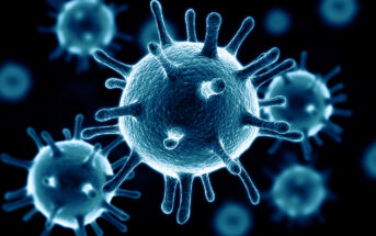 Close-up illustration of several virus particles with spiky projections on a dark background, highlighting the detailed texture and structure of the virus. The particles are shown in a blue hue.