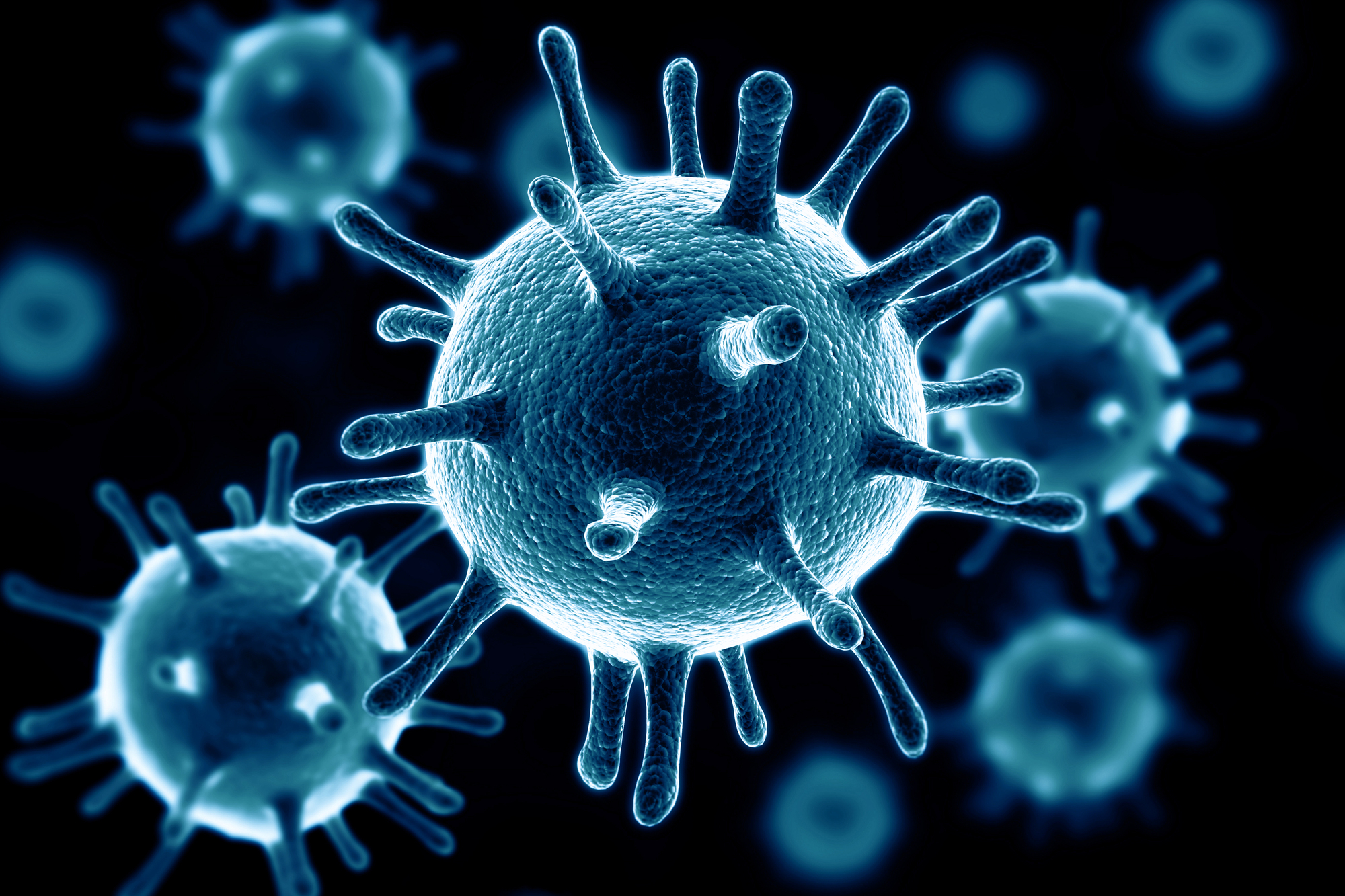 Close-up illustration of several virus particles with spiky projections on a dark background, highlighting the detailed texture and structure of the virus. The particles are shown in a blue hue.