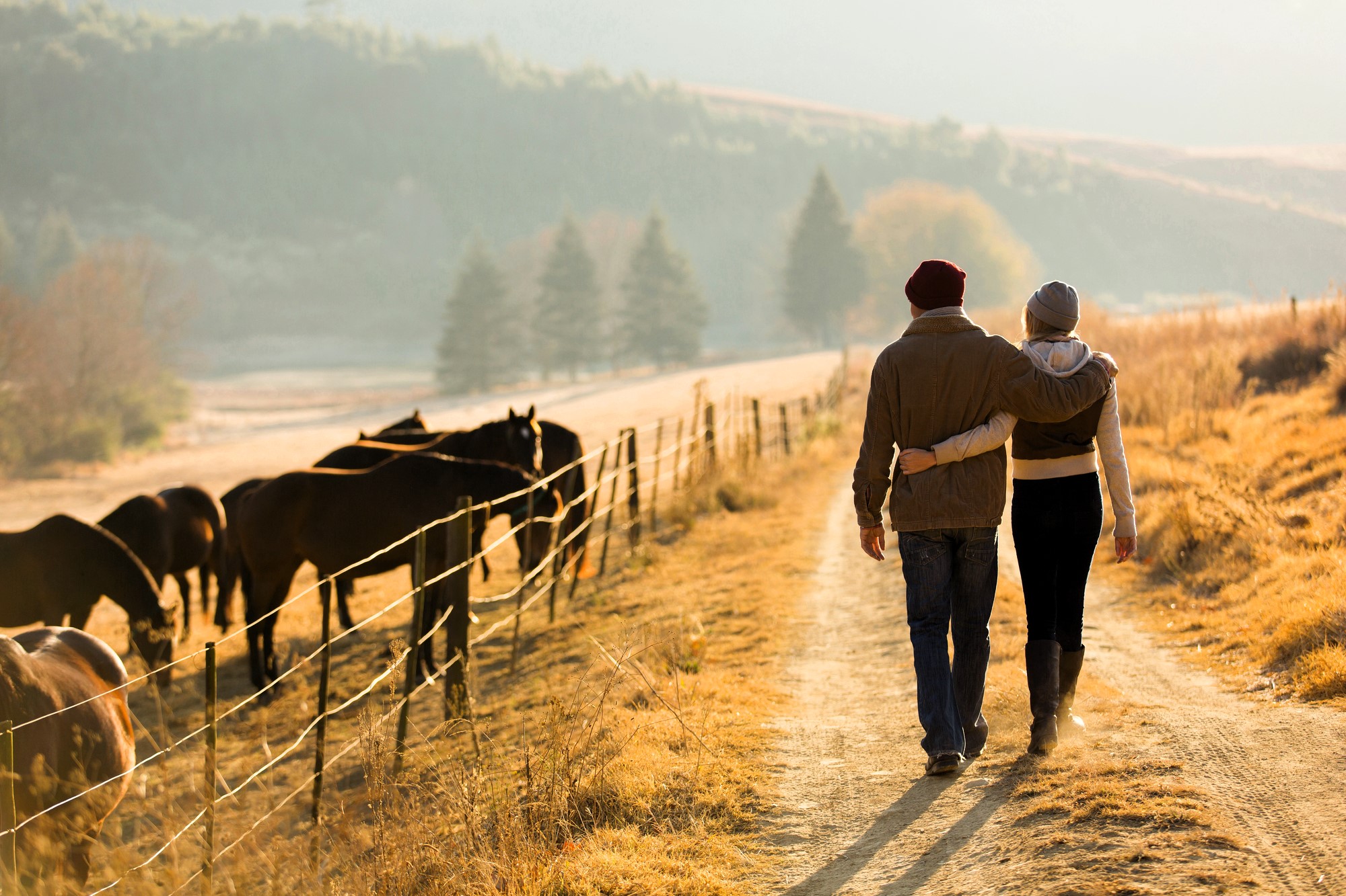 A couple walks arm-in-arm on a rural path beside a fenced field with horses grazing. The scene is set in the warm glow of a setting sun, with hills and trees in the background, creating a peaceful countryside atmosphere.