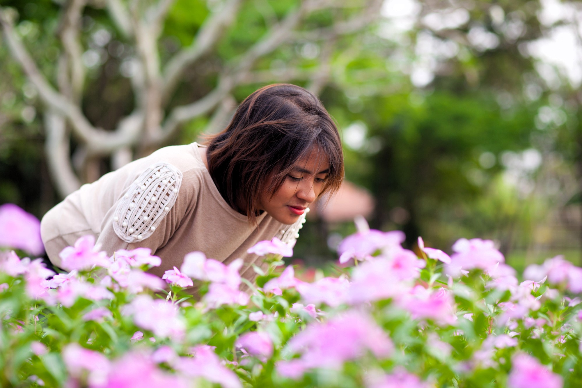 A woman with short hair is leaning over a field of blooming pink flowers, appearing to enjoy their scent. She is wearing a light-colored sweater. The background features green, blurred trees.