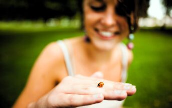 A smiling person holds a small ladybug on their fingers. The background is a blurred green field and trees. The focus is on the ladybug, emphasizing the person's curiosity and connection with nature.