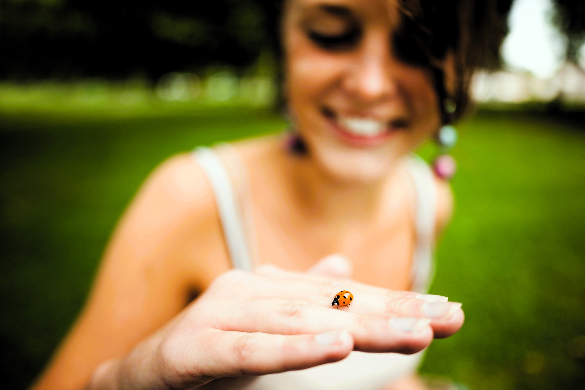 A smiling person holds a small ladybug on their fingers. The background is a blurred green field and trees. The focus is on the ladybug, emphasizing the person's curiosity and connection with nature.