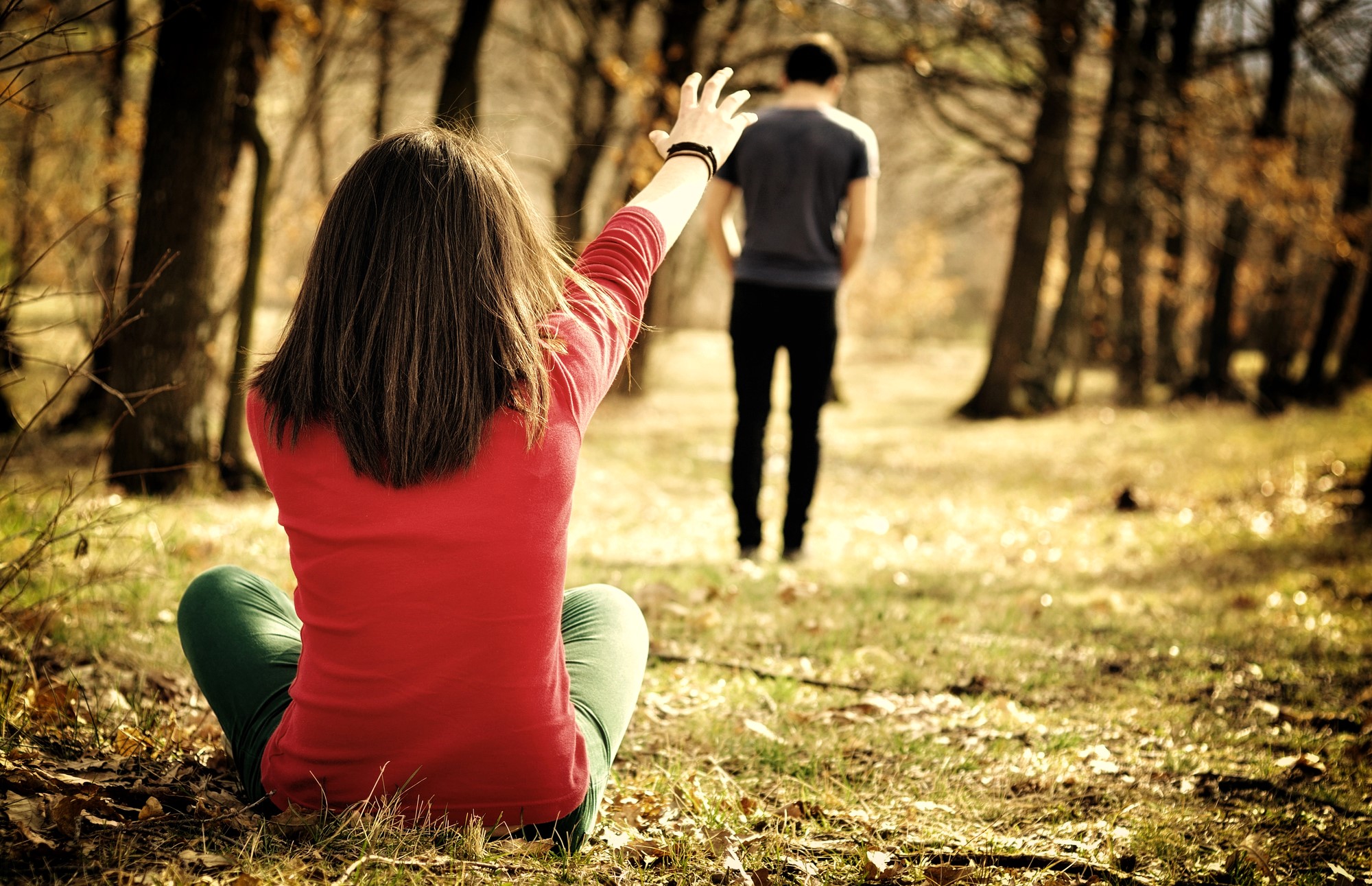 A person sits on the grass with their back to the camera, reaching out toward another person walking away through the forest. The setting is filled with trees and dappled sunlight, creating a warm, introspective atmosphere.