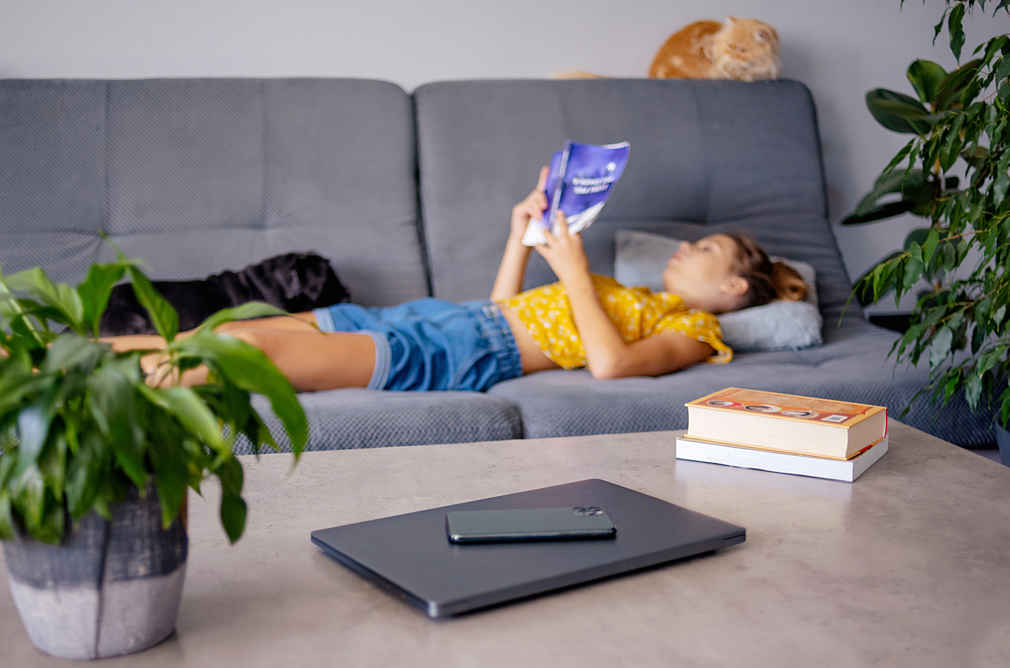 A young girl lies on a gray couch, reading a book. She's wearing a yellow shirt and blue shorts. A black pet is beside her, and an orange cat rests on the couch's backrest. In the foreground, there's a table with a laptop, a smartphone, and some books, flanked by houseplants.