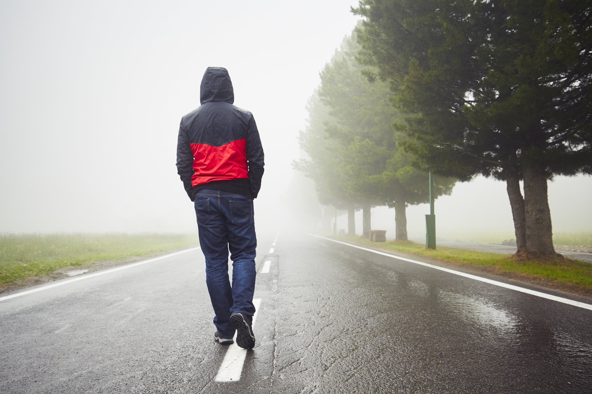 A person wearing a hooded jacket with a red and black pattern walks alone on a foggy, deserted road lined with tall trees. The ground is wet, suggesting recent rain, and the fog obscures the distance ahead. The person has their hands in their pockets.