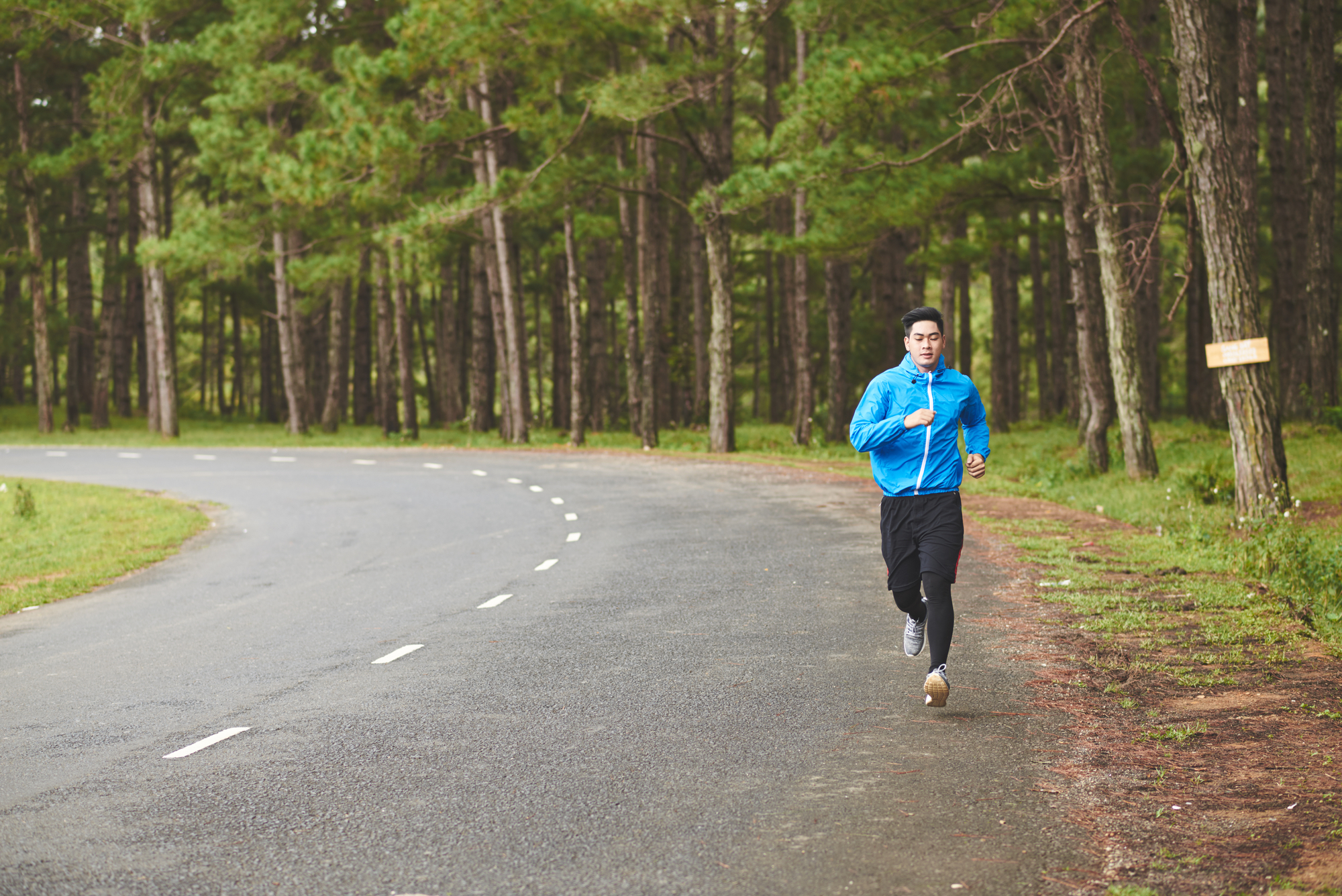 A person in sportswear, including a blue jacket, is jogging on a paved road that winds through a lush, green forest. The sky appears overcast, and the setting is serene with tall trees lining both sides of the path.