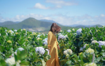 A woman in a yellow dress stands among blooming hydrangea flowers on a sunny day. She is looking at the camera with a relaxed expression, and the background features green hills and a blue sky with some clouds.