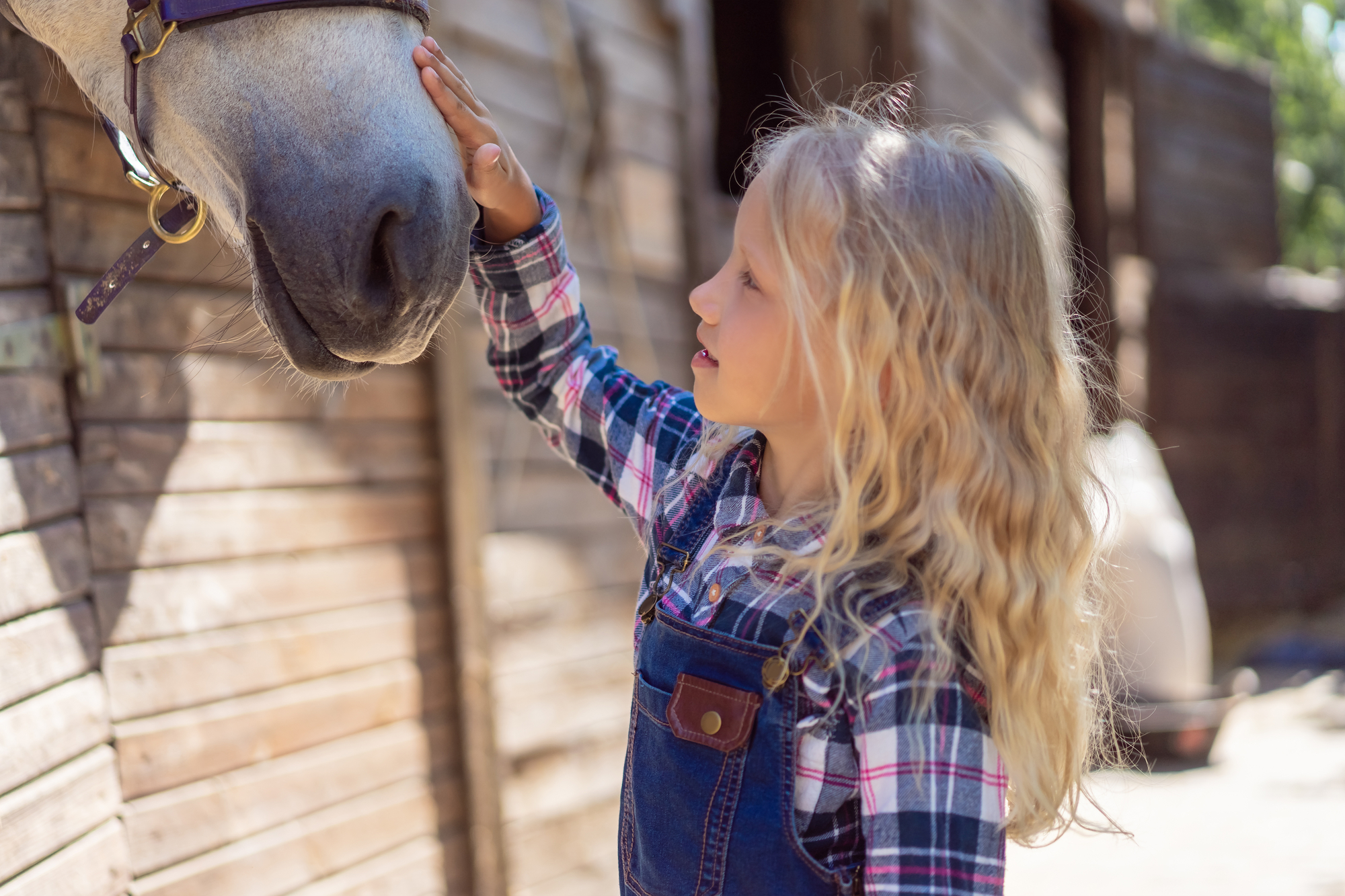 A young girl with long, wavy blonde hair wearing a plaid shirt and dark overalls gently pats the nose of a horse. They are outdoors near a wooden structure, likely a stable, in a sunny setting.