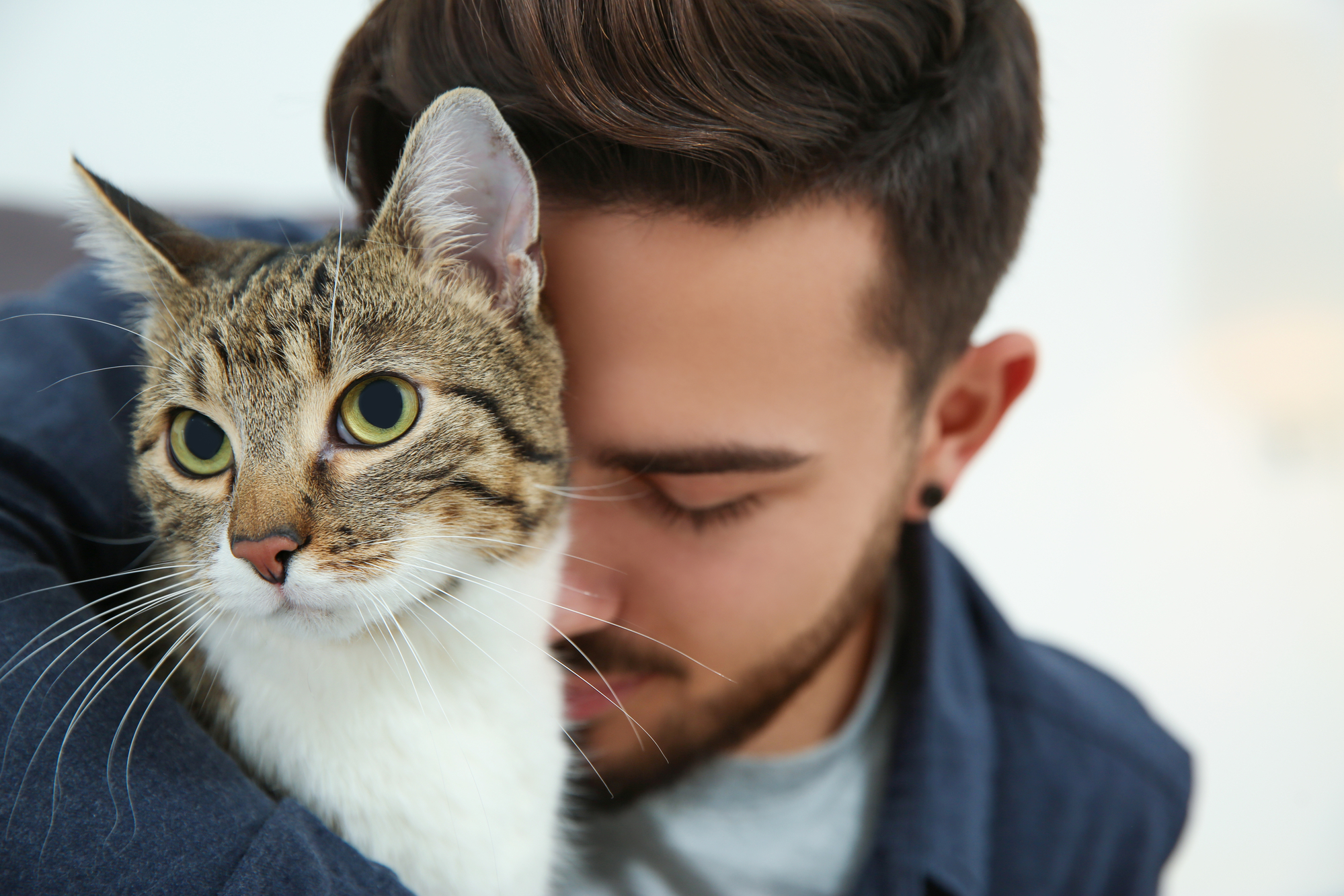 A man with short brown hair and a trimmed beard affectionately presses his forehead against a tabby cat's head. The cat has green eyes and white fur on its chest, looking alert and focused. The background is softly blurred.