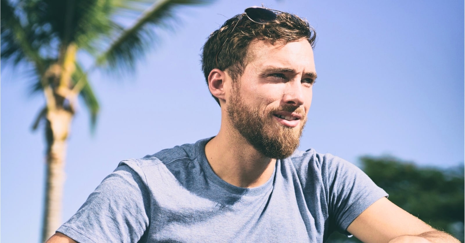 A man with a beard and sunglasses resting on his head sits outdoors against a clear blue sky. He wears a light blue t-shirt, and a palm tree is visible in the background, giving the scene a tropical feel. He appears to be looking off into the distance.