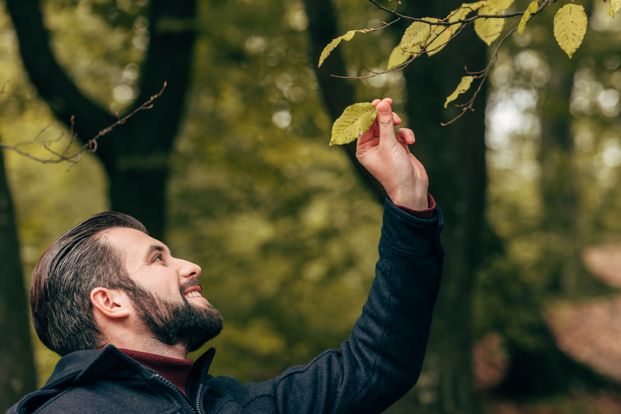 A bearded man with dark hair and a blue jacket is standing in a forest, smiling as he reaches up to touch a green leaf on a branch. The background is filled with blurred trees and foliage, creating a serene and natural setting.