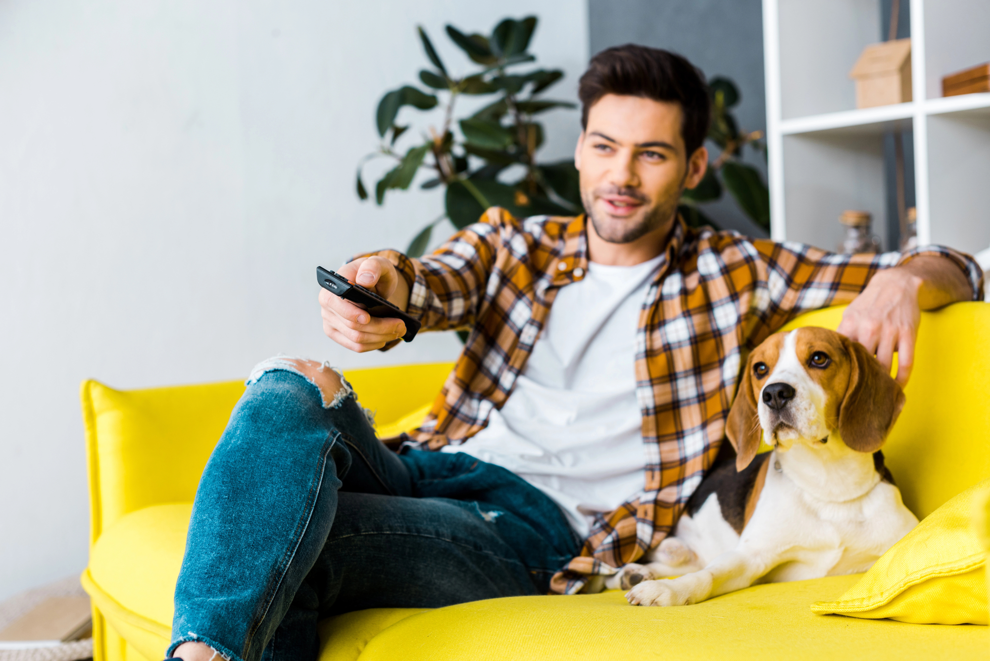 A man sits on a bright yellow couch, holding a TV remote, with a beagle dog by his side. He is casually dressed in a plaid shirt and ripped jeans. A plant and shelves are visible in the background, creating a cozy living room setting.