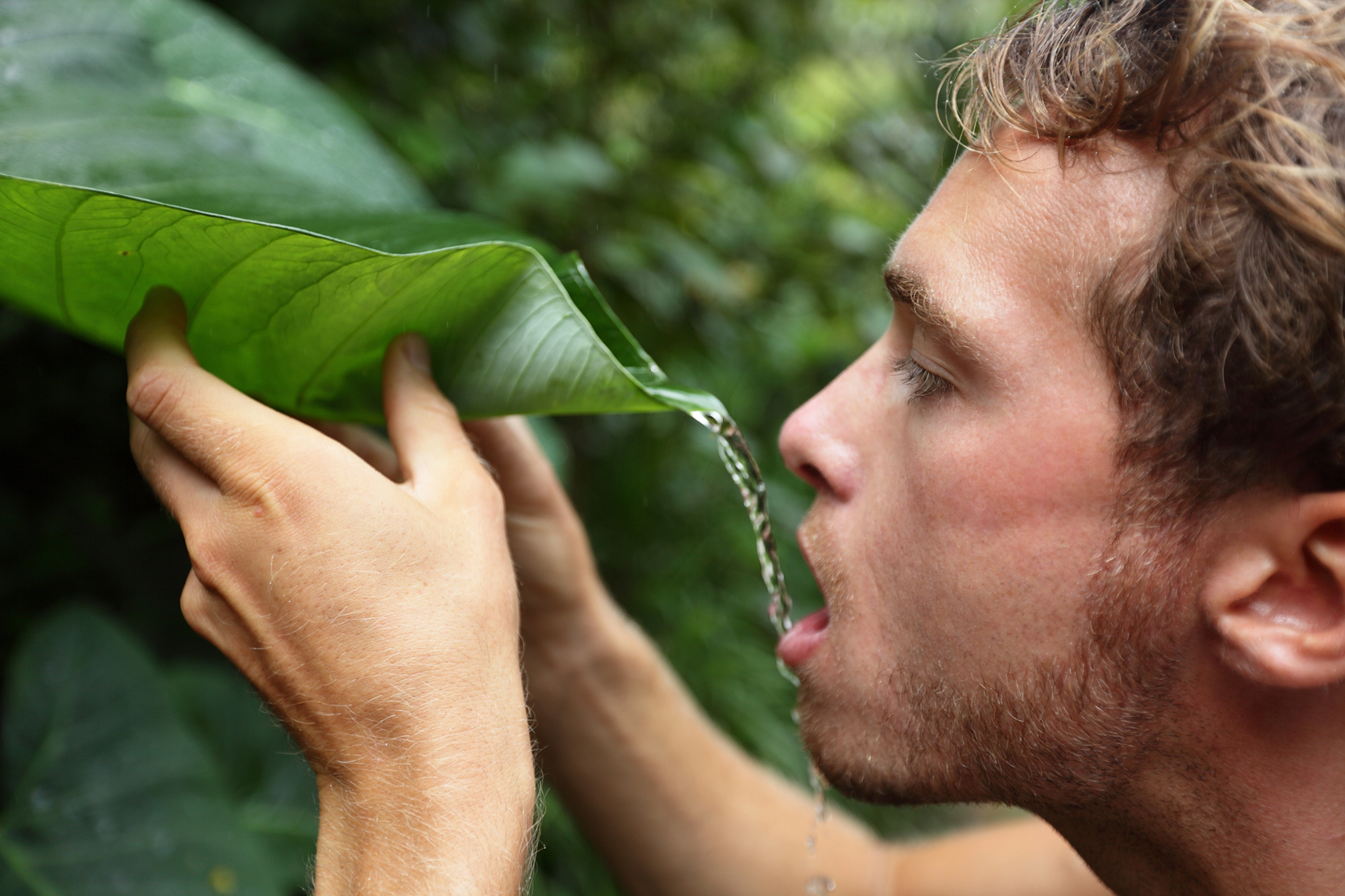 A person drinks water pouring off a large green leaf in a lush, forested area. The individual holds the leaf with both hands, directing a stream of water towards their mouth. The scene shows a close connection to nature and resourcefulness.