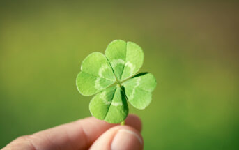 A close-up of a hand holding a four-leaf clover against a blurred green background. The clover has bright green leaves with a lighter, almost white pattern near the center. The blurred background provides a soft, natural setting.