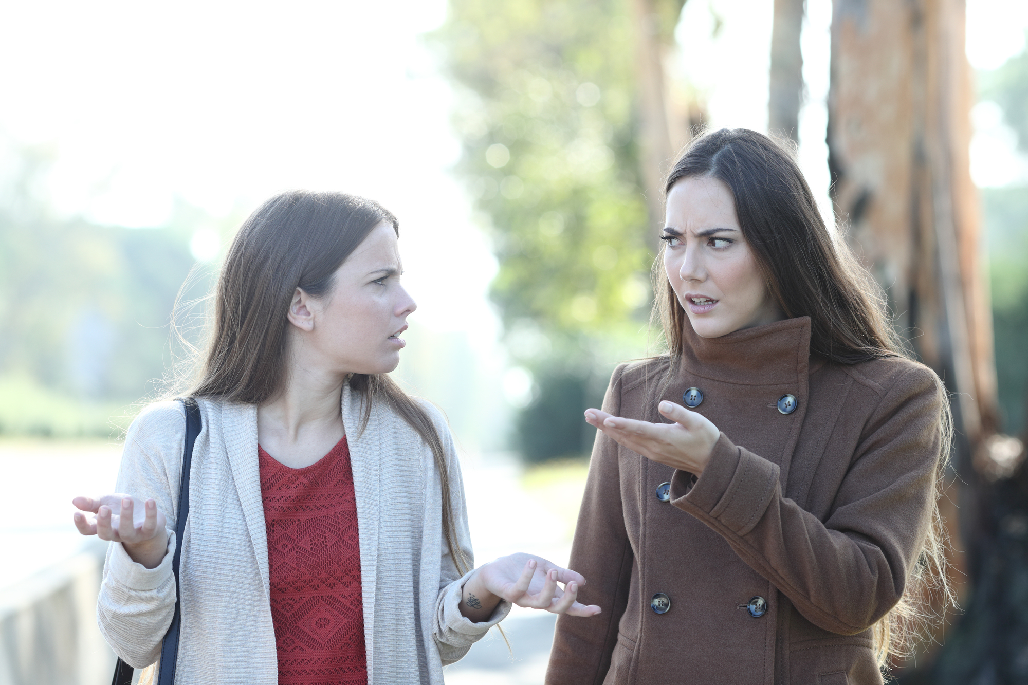 Two women are standing outdoors, engaged in an intense conversation. Both have a perplexed expression and are gesturing with their hands as they talk. One woman is wearing a brown coat, and the other a red top. Trees and a blurred background are visible.