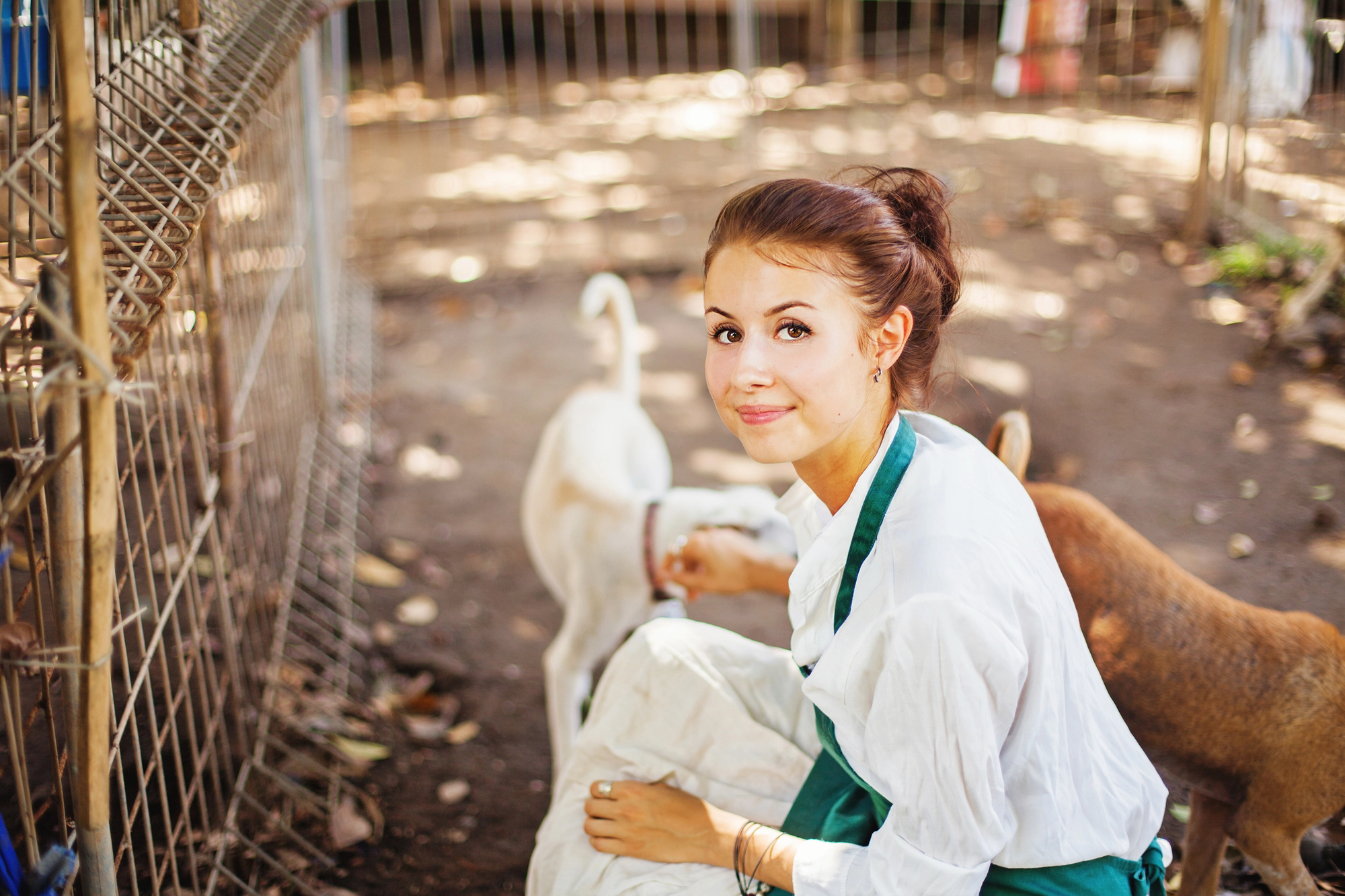 A woman with dark hair in a ponytail, wearing a white shirt and green apron, kneels in an outdoor area with dirt ground and metal fenced enclosures. She is petting two dogs, one light-colored and one brown. Sunlight filters through the trees, casting dappled shadows.