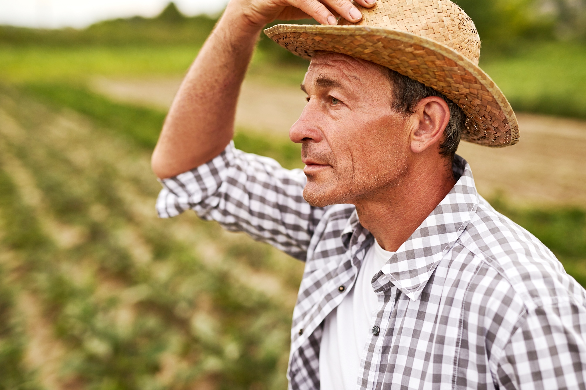 A man wearing a straw hat and a checkered shirt looks into the distance while standing in a field. The horizon is marked by rows of crops, suggesting a farming environment.