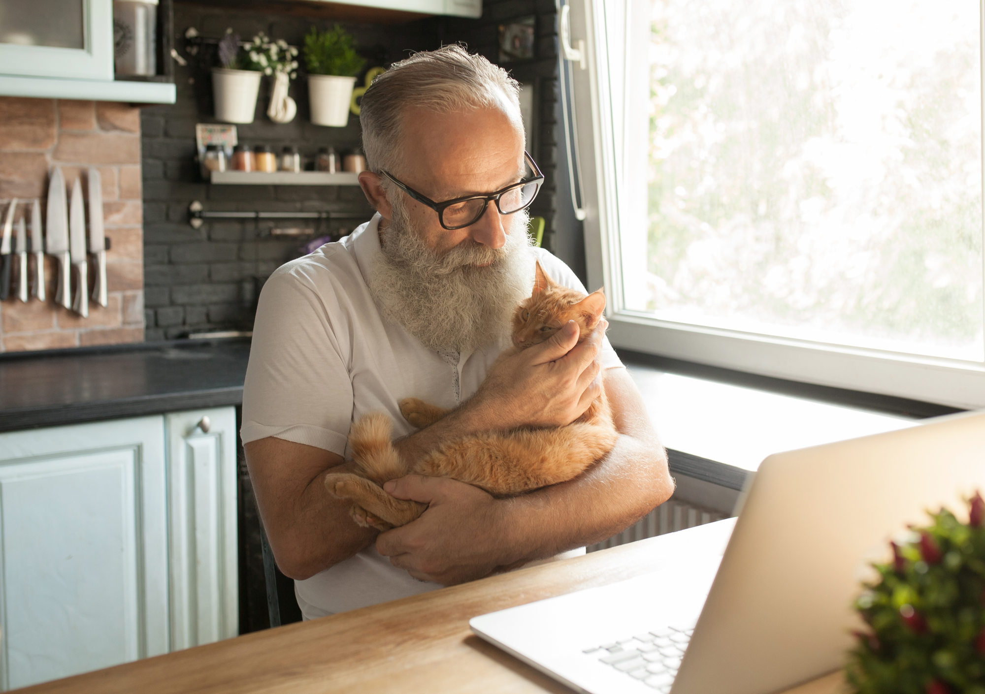 An elderly man with a long white beard and glasses sits in a kitchen holding an orange cat. He is looking at a laptop on a wooden table, with sunlight streaming through a window nearby. The kitchen has a black brick backsplash, knives on a magnetic strip, and potted plants.