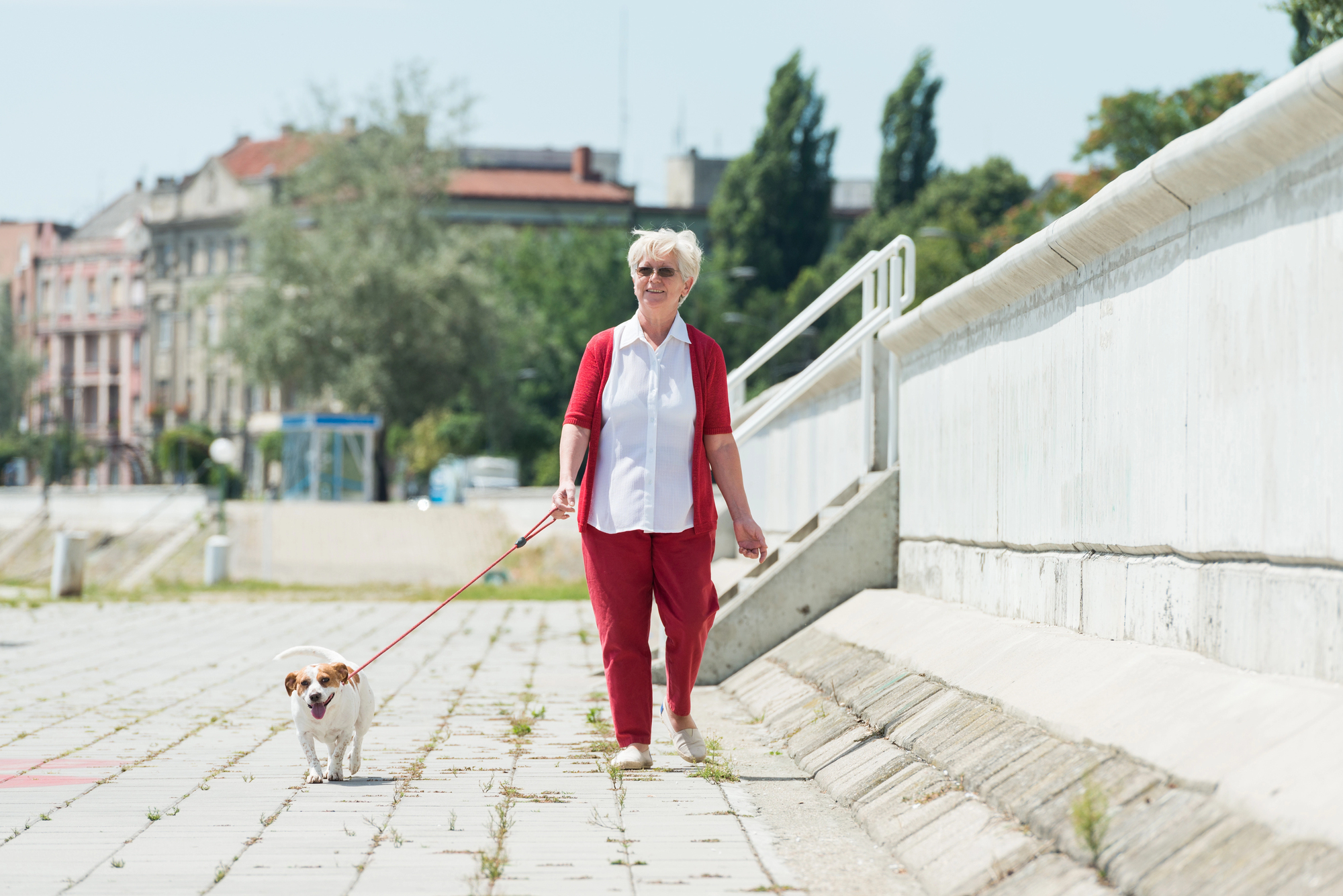 An older woman wearing a white shirt and red pants walks her small dog on a leash along a sunny, paved riverside path. Buildings and trees can be seen in the background.