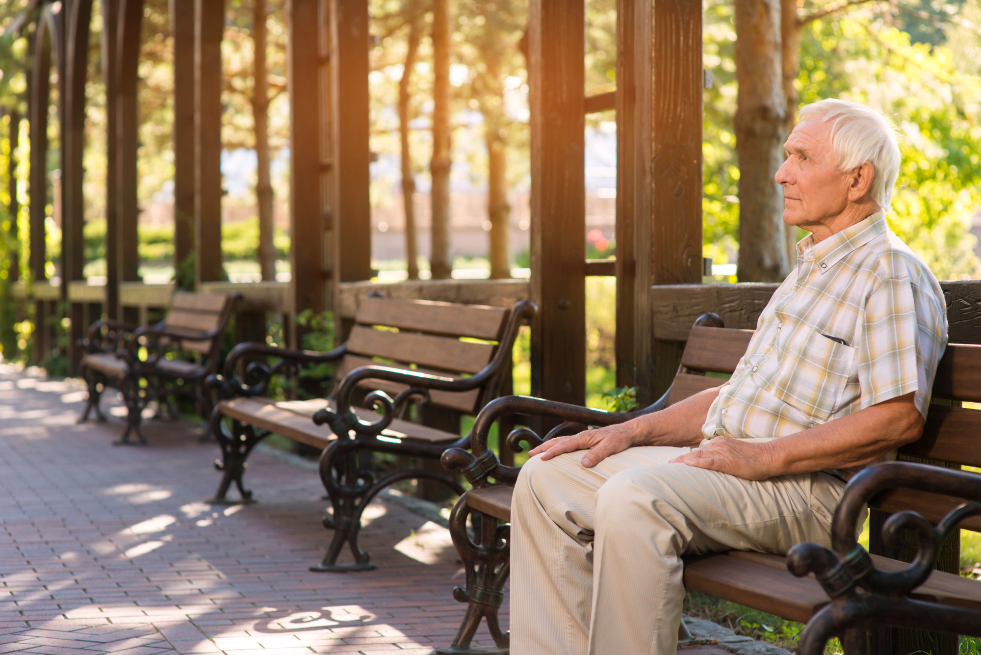 An elderly man with white hair sits alone on a wooden park bench, looking pensively to the side. The park is bathed in warm sunlight, with trees and more empty benches lining the path. The brick walkway beneath him adds to the serene environment.