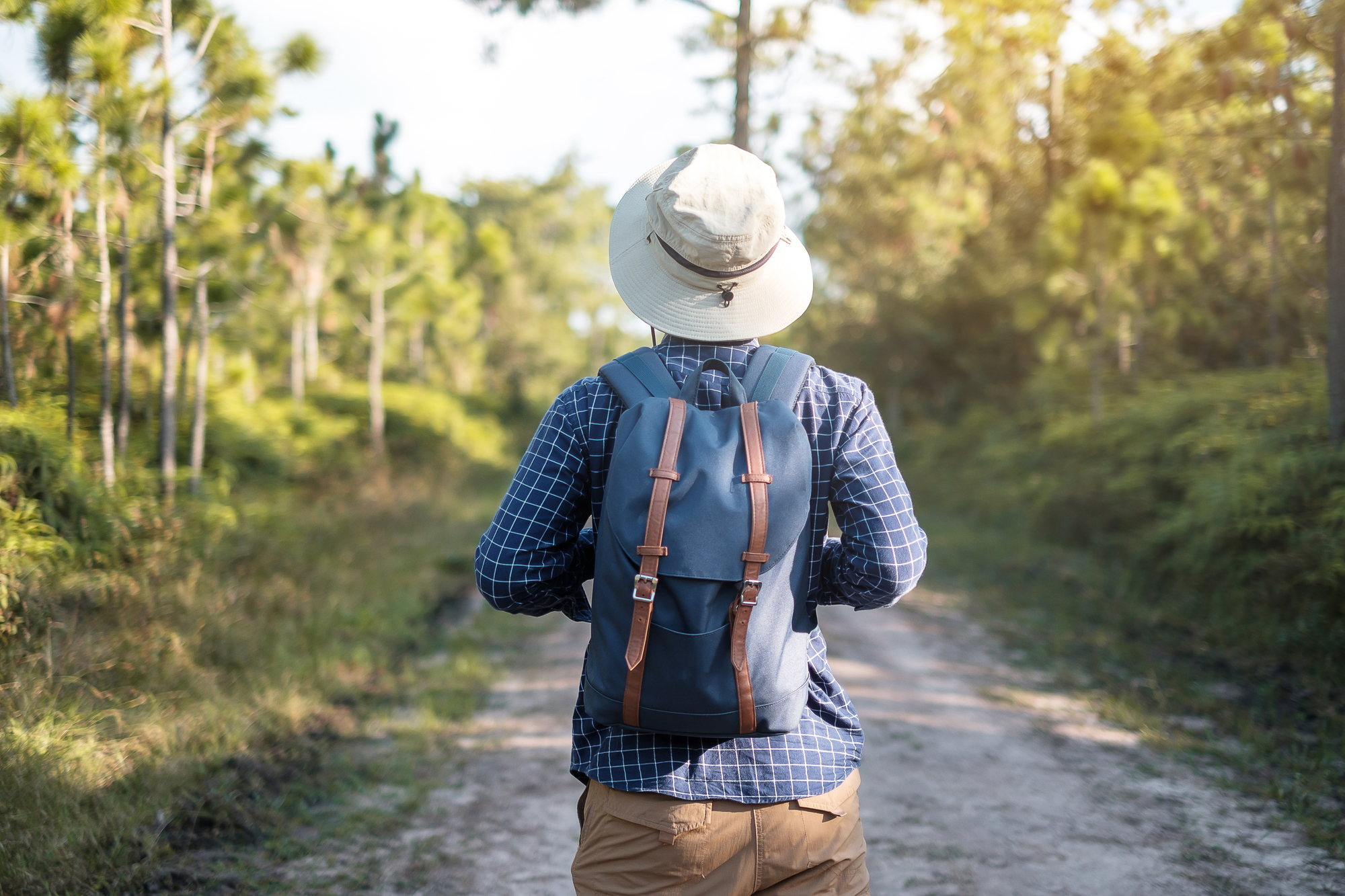 Person wearing a hat, blue plaid shirt, and a backpack, walking on a dirt path through a forested area under sunlight. The individual is facing away from the camera, with trees and greenery on either side of the path.