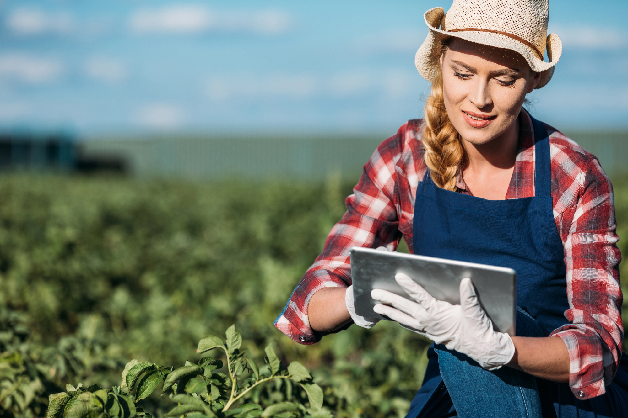 A woman wearing a straw hat, red plaid shirt, blue apron, and gloves kneels in a field of green plants. She is looking at a tablet, appearing to be working or checking information related to farming or gardening. The sky is partly cloudy.