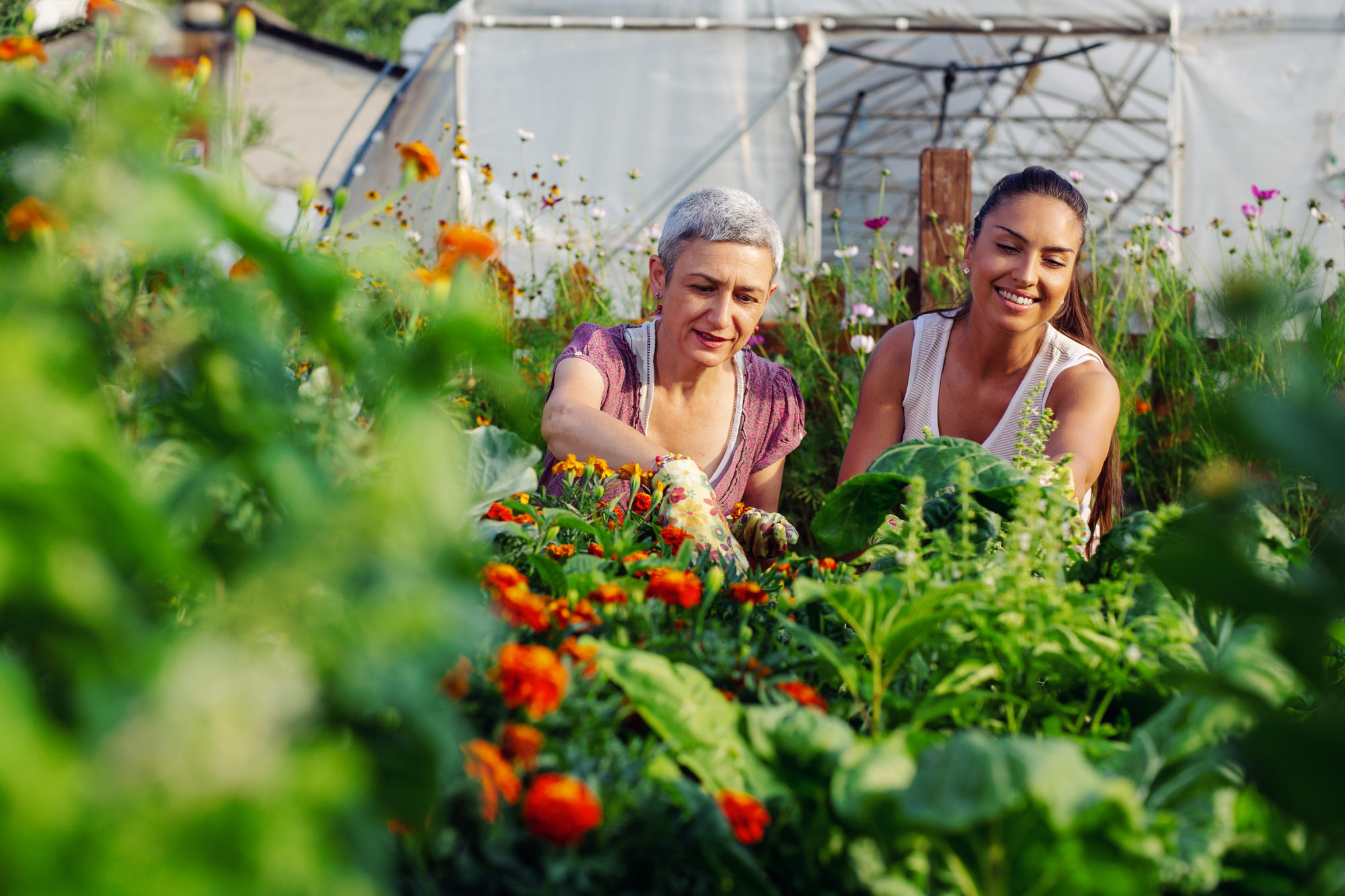 Two women smiling while working together in a lush garden filled with vibrant flowers and greenery. One woman has short gray hair, and the other has long dark hair tied back. They appear focused and happy amidst the colorful blooms and leafy plants.