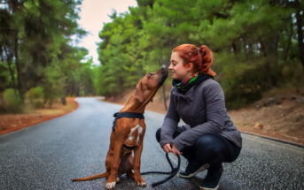 A woman with red hair is kneeling on a road in a forest, smiling while a brown dog with white markings on its chest and paws, wearing a harness, gently touches her nose with its nose. The background features trees and a winding road.