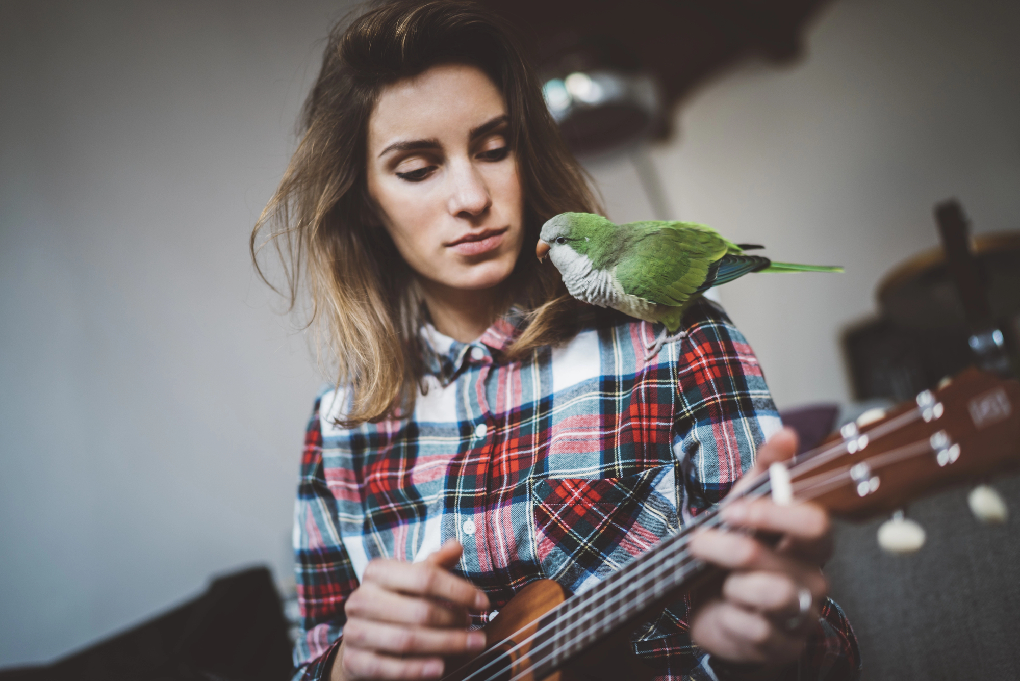 A woman with long hair wearing a red and blue plaid shirt is playing a ukulele. A green and gray parrot is perched on her shoulder, looking at the ukulele. The background is blurred, focusing on the woman and the parrot.