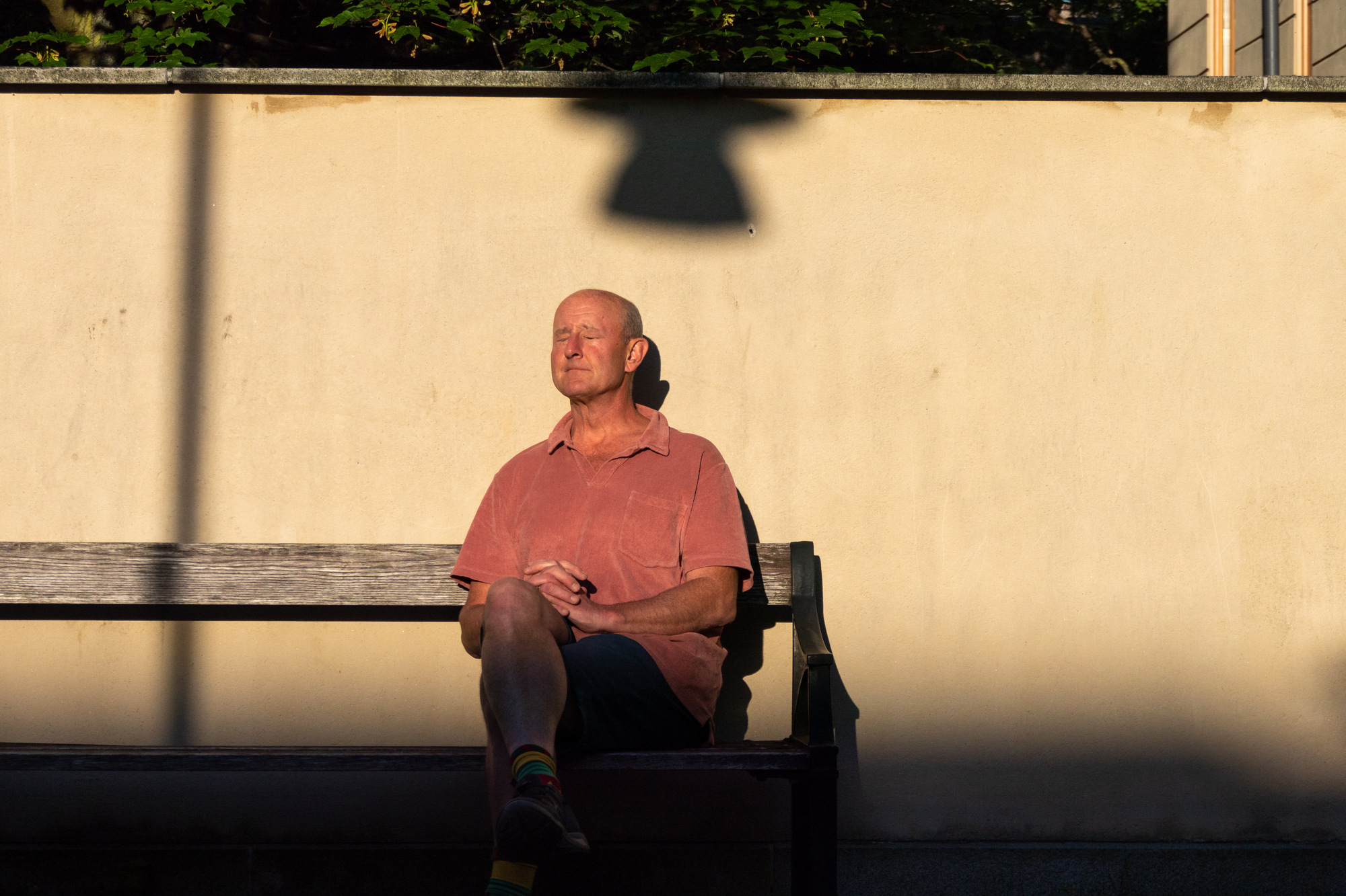 A bald man in a pink short-sleeve shirt and colorful socks sits on a bench with his legs crossed, eyes closed, and a relaxed expression. The scene is sunlit, with a shadow of a lamp on the wall behind him and greenery above the wall.