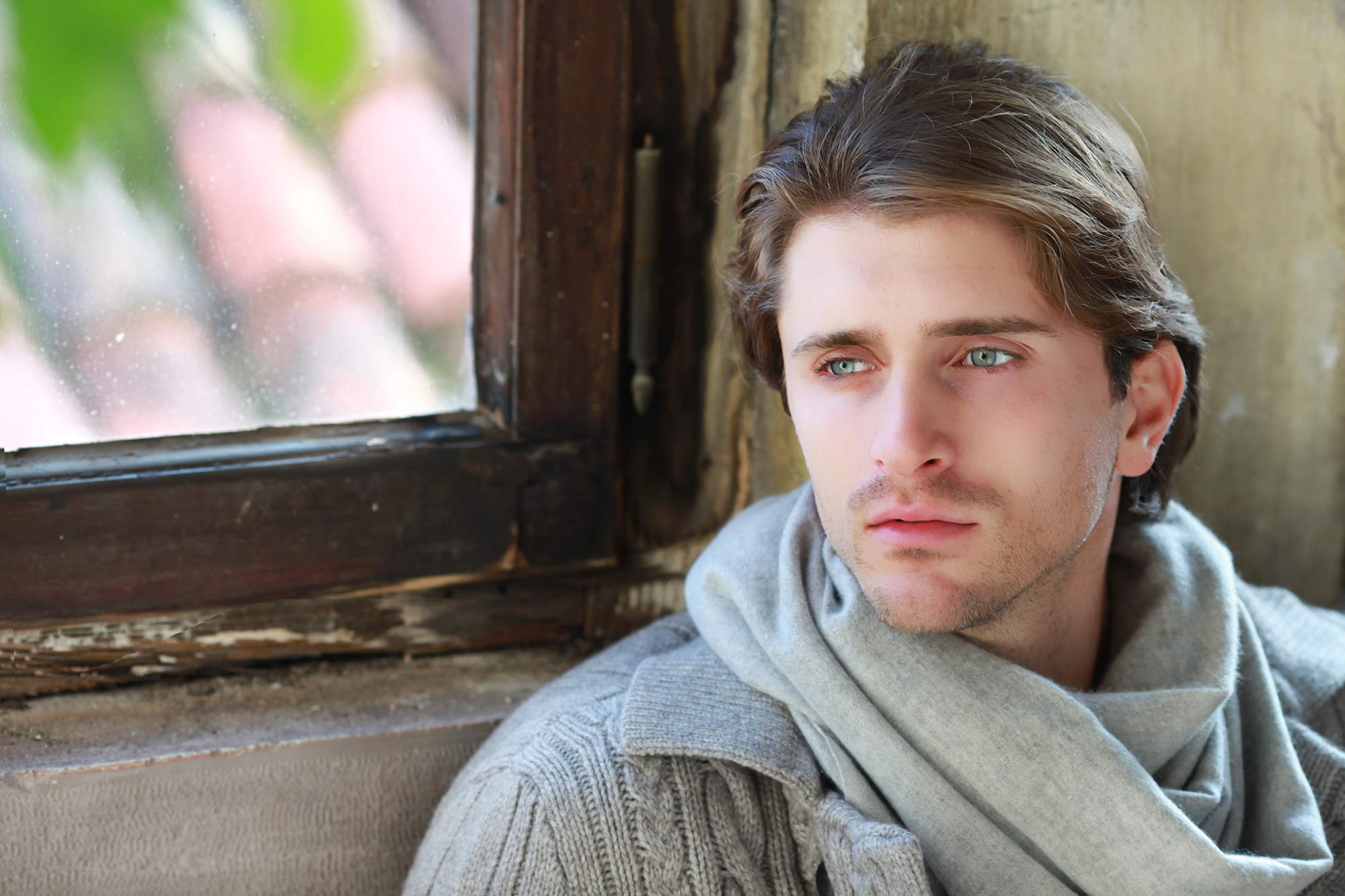 A young man with light brown hair and a scarf around his neck gazes out a window. He is wearing a gray sweater and appears thoughtful. The background shows a blurred outdoor scene with a hint of greenery and a pinkish hue on the surface outside.