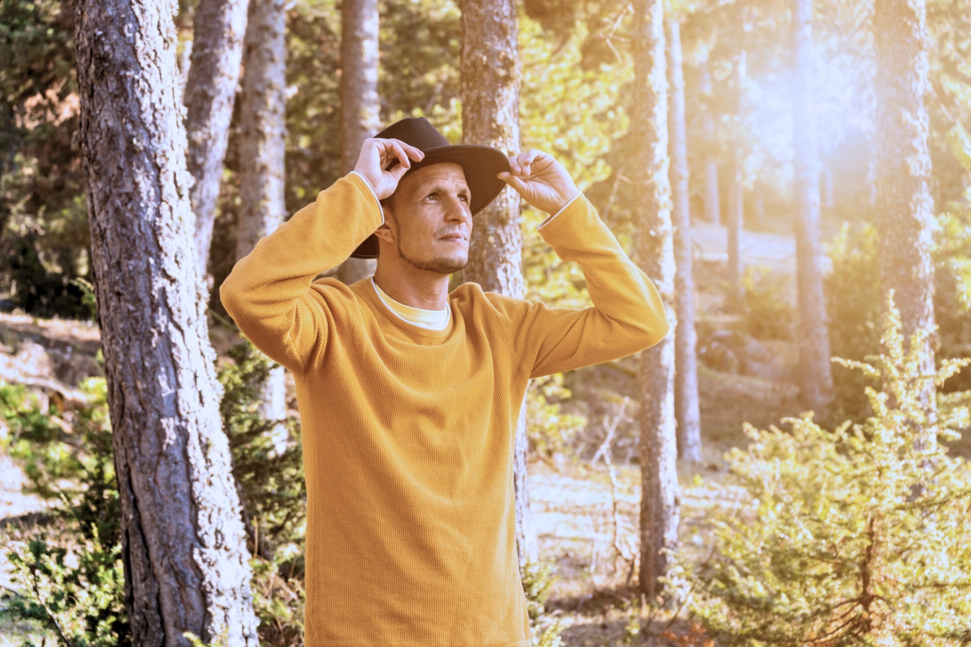 A person in a yellow sweater and black hat stands in a sunlit forest, adjusting their hat and gazing upwards. Tall trees surround them, and sunlight filters through the branches, creating a warm, serene atmosphere.