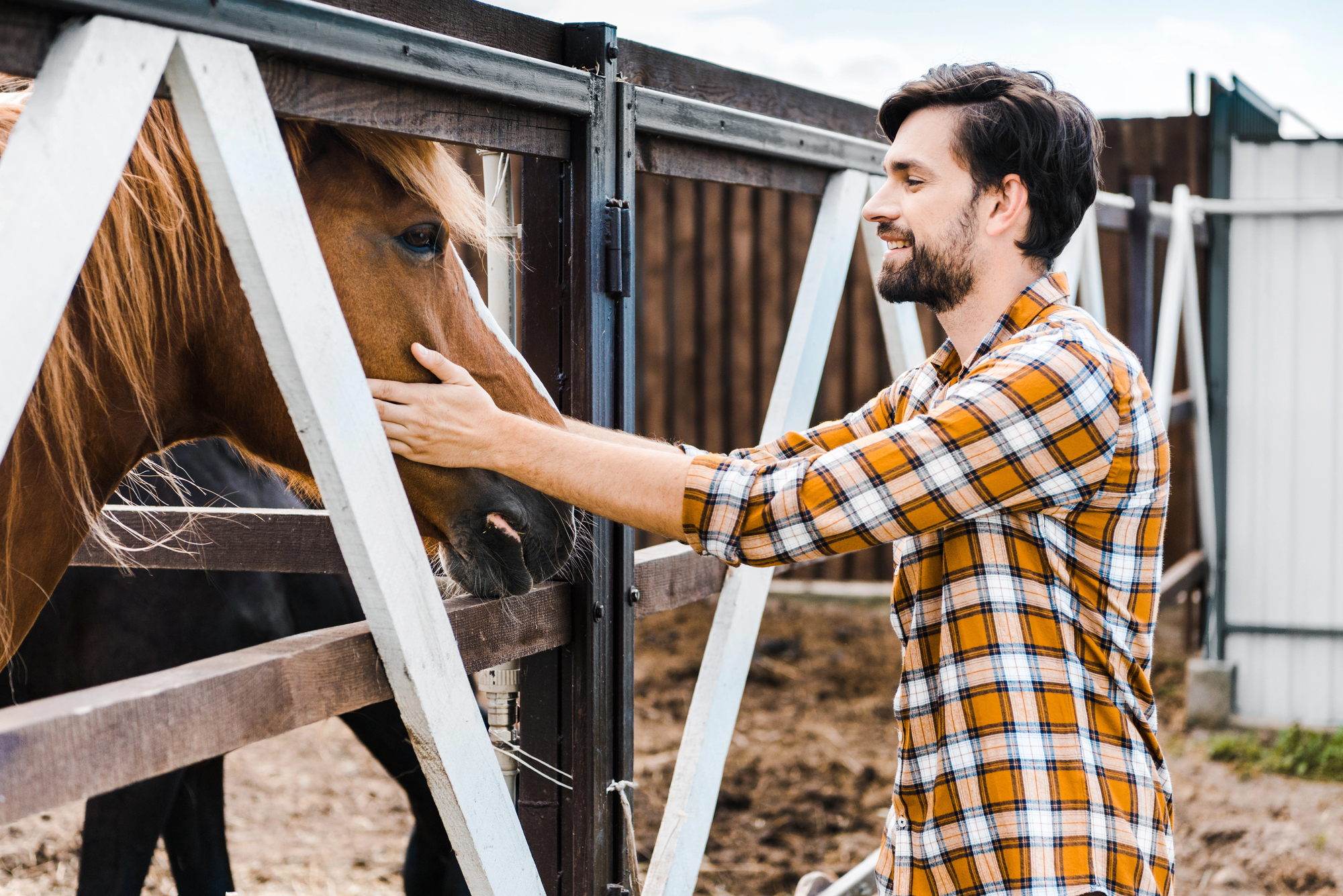 A man in a plaid shirt gently pets a brown horse over a fence on a sunny day, smiling at the animal in an outdoor setting.