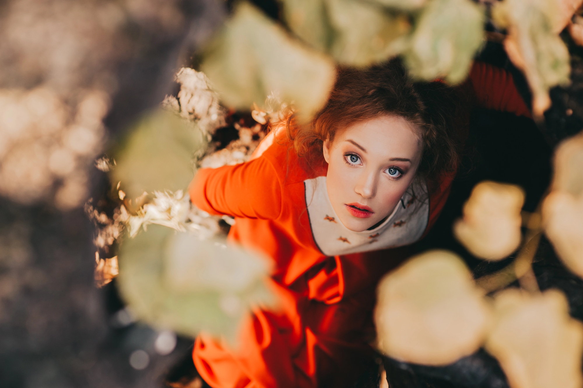 A woman with reddish-brown hair wearing an orange dress looks up through an opening surrounded by leaves. Sunlight partially illuminates her face and the leaves above her. The image is taken from a high angle, giving a sense of depth and nature.