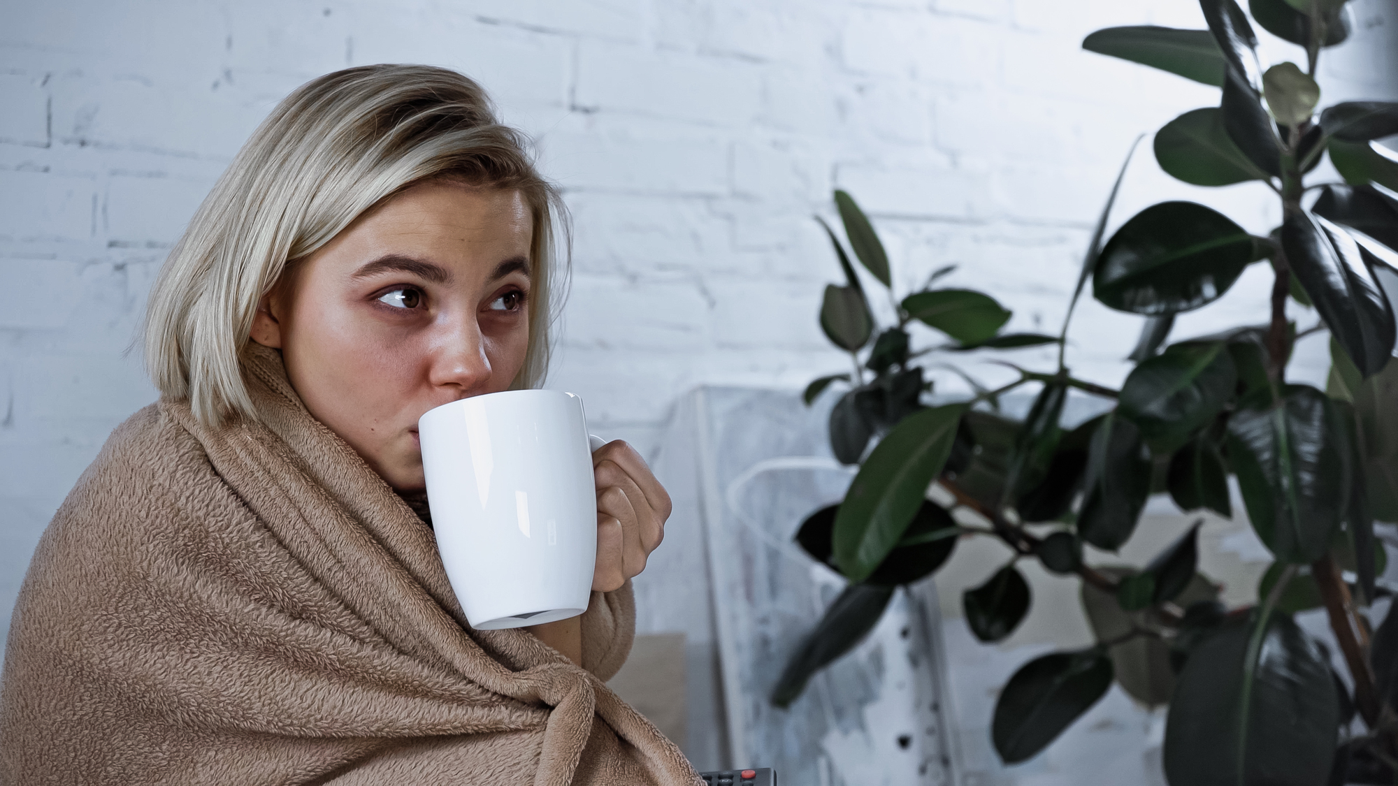 A person with short blonde hair, wrapped in a light brown blanket, sips from a large white mug. They are sitting indoors against a white brick wall, with a large leafy plant nearby. The atmosphere appears cozy and contemplative.