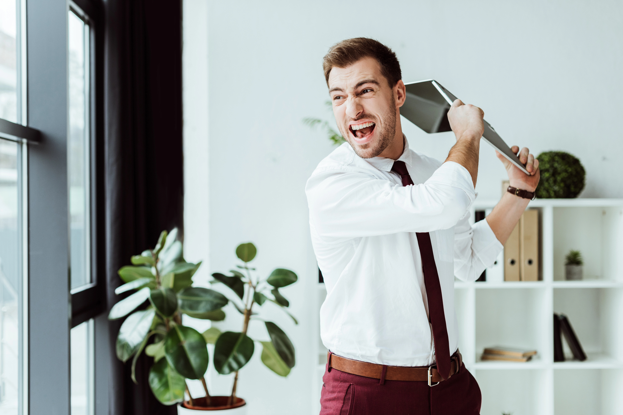 A frustrated man in a white shirt and tie is holding a laptop above his head as if about to throw it. He stands in a modern office space with a plant, bookshelf, and large window in the background.