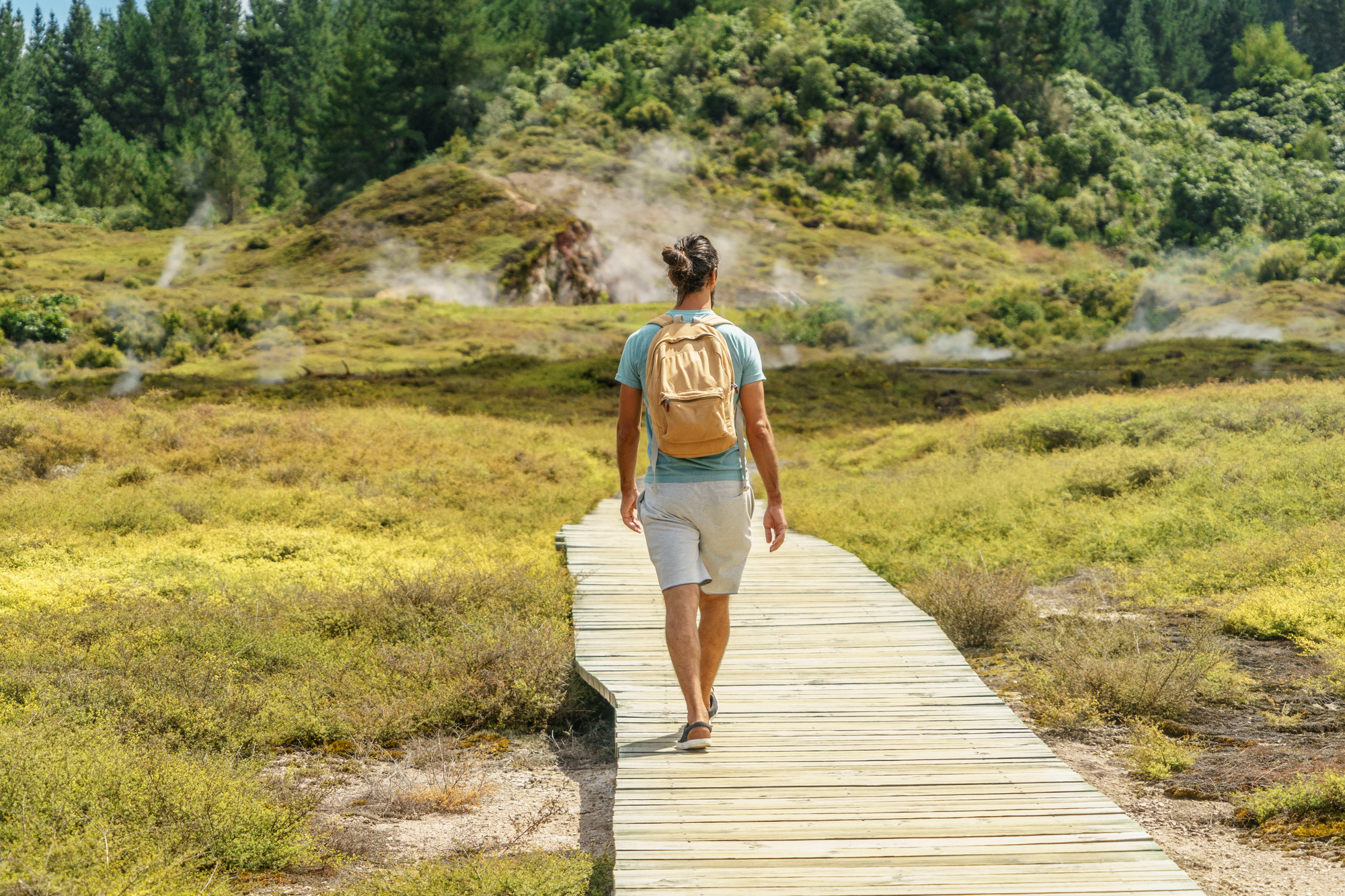 A person with a backpack walks on a wooden path surrounded by green vegetation and steam vents. Pine trees and a misty atmosphere create a serene, scenic backdrop.