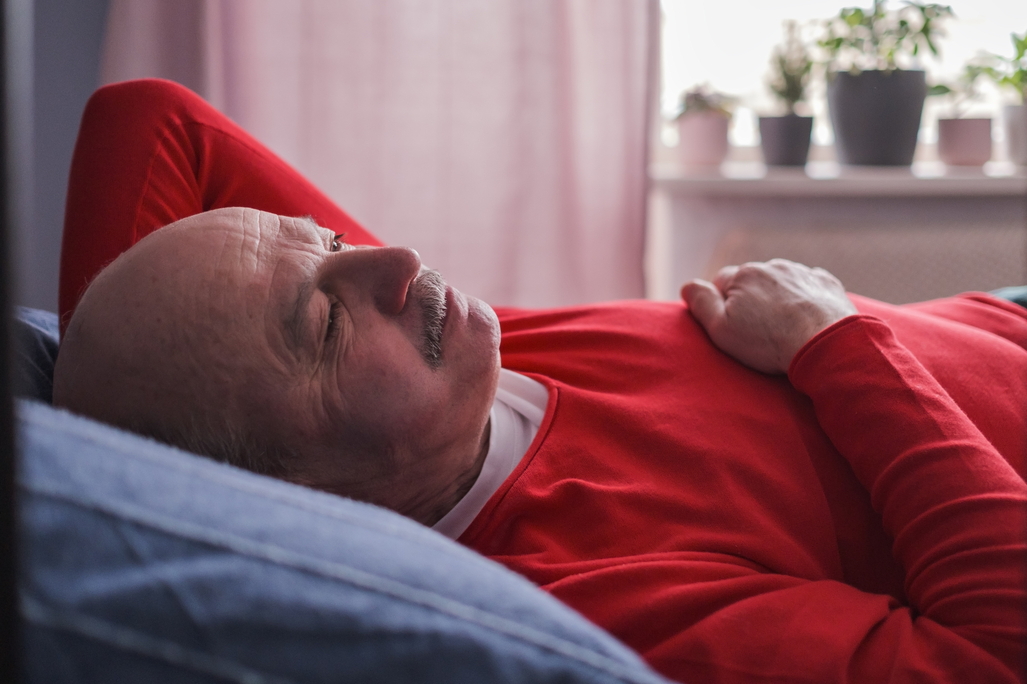 An older man with a mustache, wearing a red shirt, is lying on a blue couch with one arm behind his head and the other resting on his chest. In the background, a window with pink curtains and several potted plants can be seen.