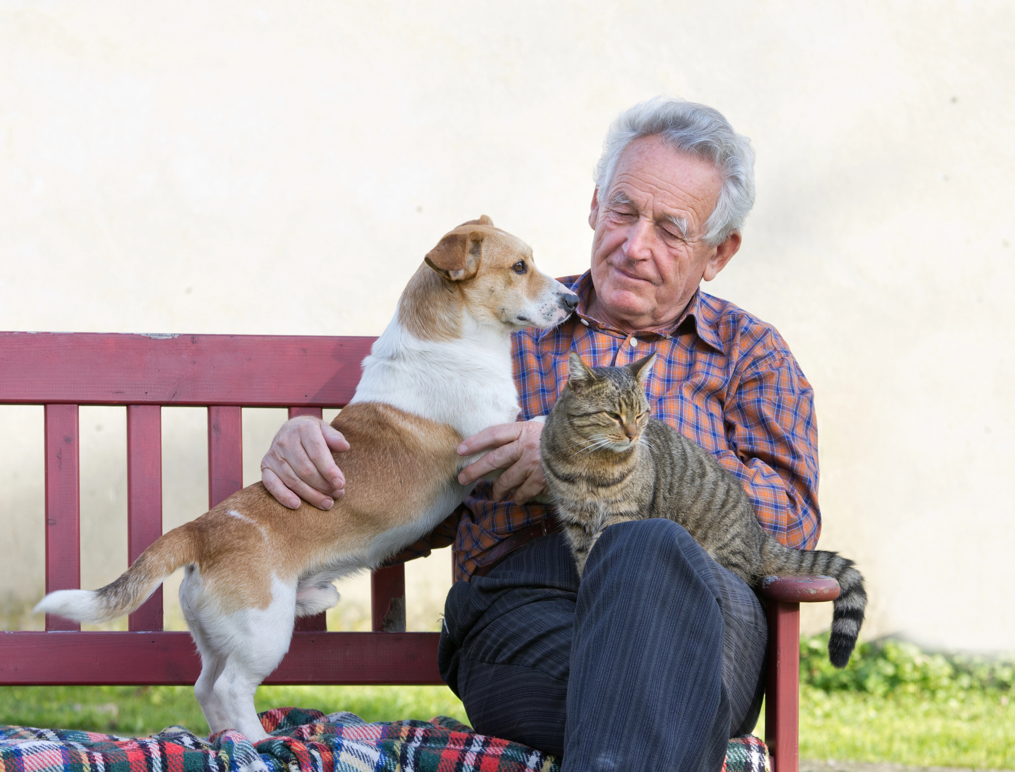 An elderly man sitting on a red bench outdoors, petting a small brown and white dog beside him. A tabby cat sits on his lap. The man has gray hair and is wearing a plaid shirt and dark pants. The background is a light-colored wall.