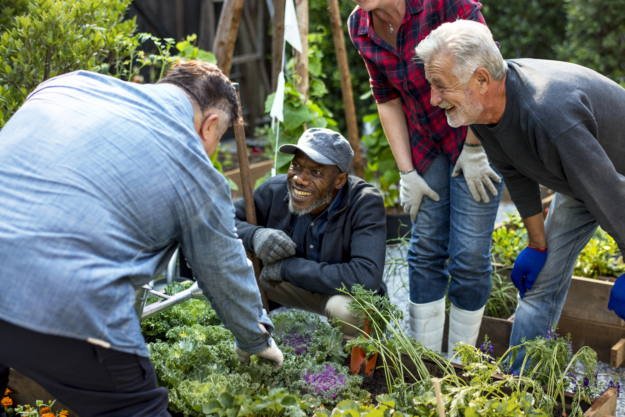 A group of four people, wearing casual clothes and garden gloves, gather around raised garden beds filled with leafy greens and vegetables. They appear to be engaged in conversation and smiling, enjoying the outdoor gardening activity.