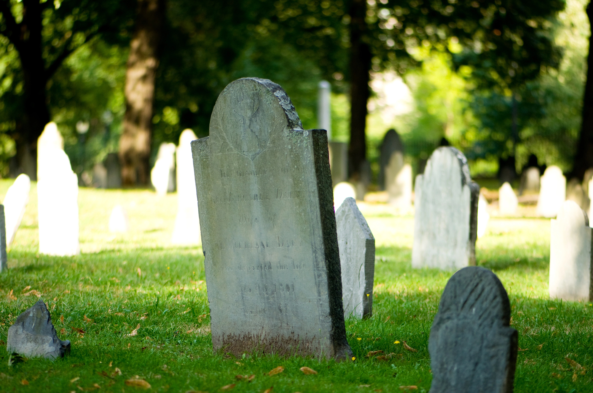 A peaceful cemetery scene with several old, weathered tombstones situated on a green, grassy field. Sunlight filters through the trees, creating a serene and tranquil atmosphere.