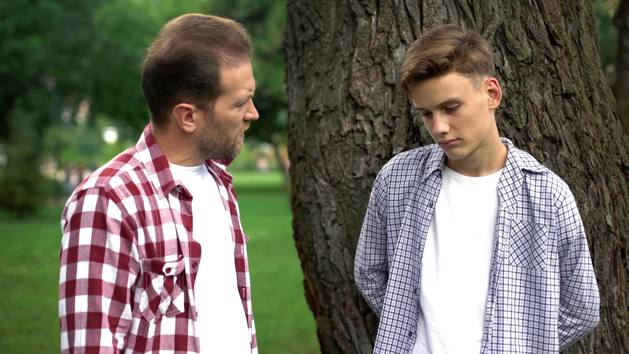 A man and a teenage boy stand outdoors by a tree, both wearing plaid shirts. The man appears to be speaking seriously to the teenager, who is looking down, with hands behind his back. Green grass and trees are visible in the background.